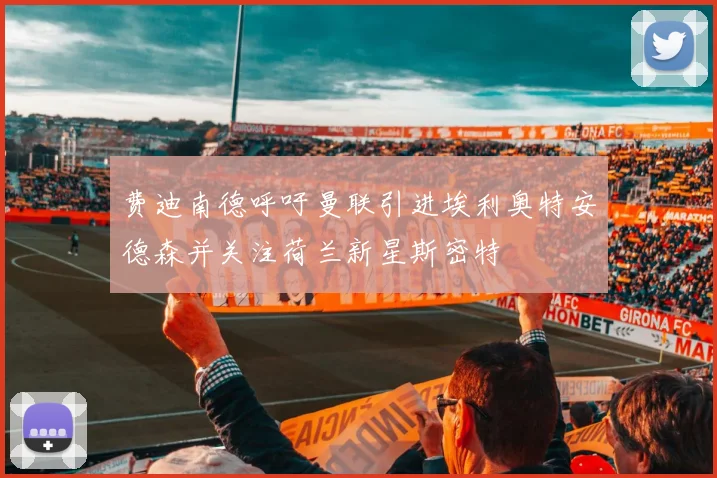 费迪南德呼吁曼联引进埃利奥特安德森并关注荷兰新星斯密特